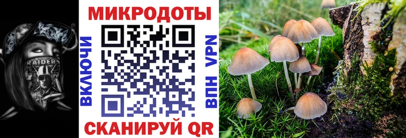 Псилоцибиновые грибы MAGIC MUSHROOMS как найти закладки Белёв